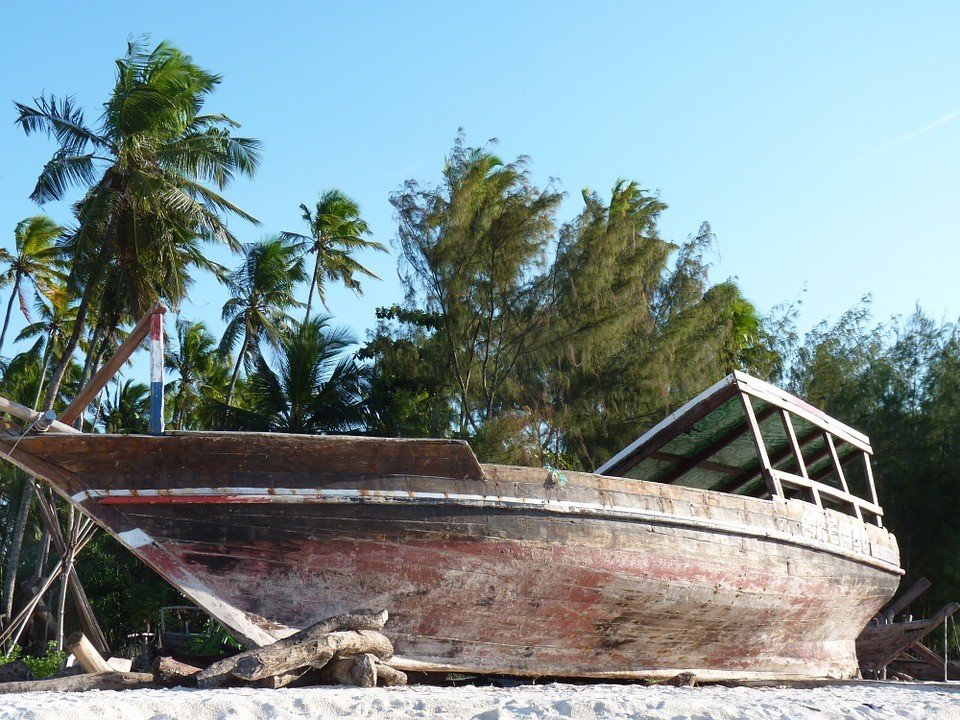 Palm tree boat zanzibar zanzibar accommodations deals