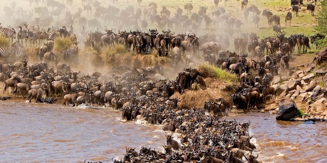 The Great Migration