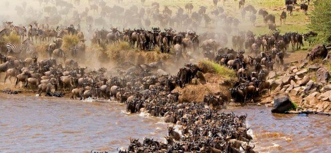 The Great Migration The Great Migration