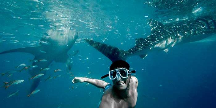 Scuba Diving Around Kichanga Lodge