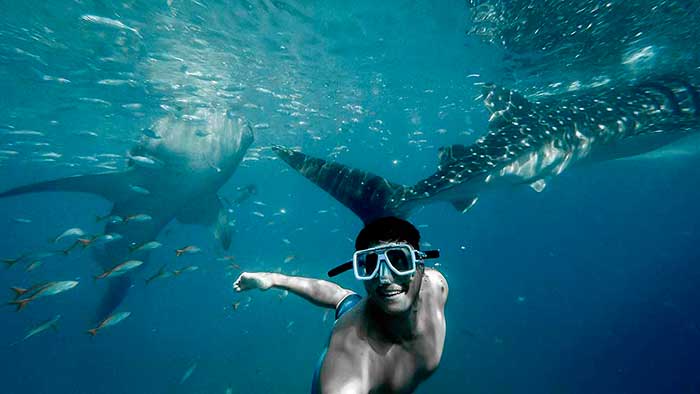 Scuba Diving Around Kichanga Lodge