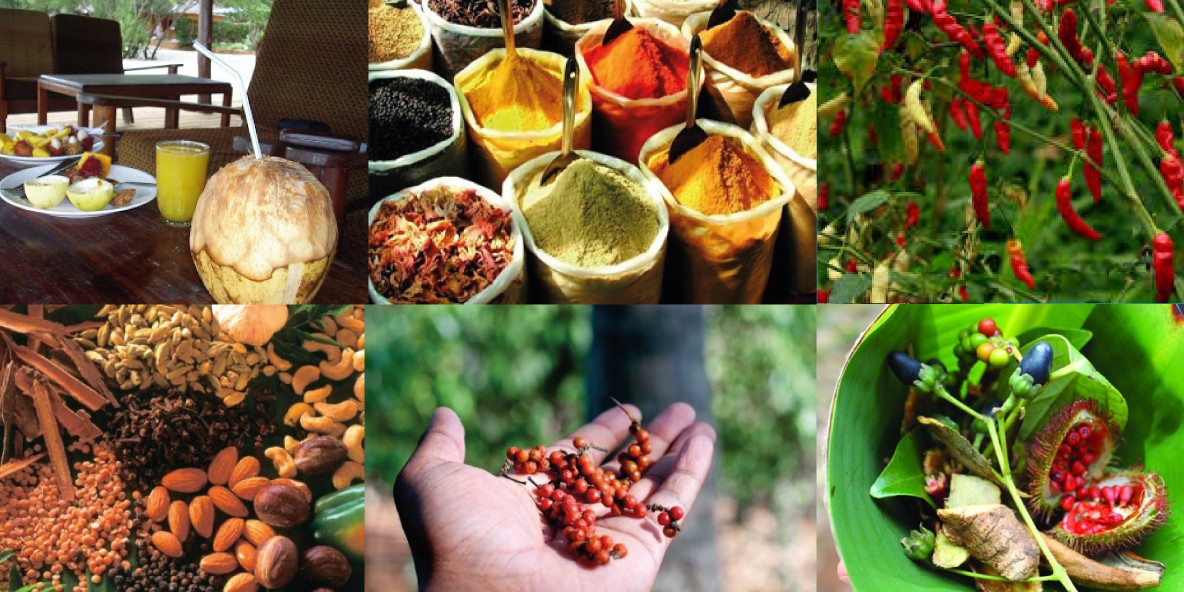 Sightseeing At Zanzibar Sightseeing At Zanzibar