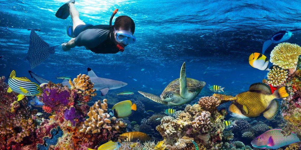 best snorkeling beaches in zanzibar kichanga lodge