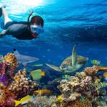 Snorkeling In Zanzibar zanzibar accommodations deals