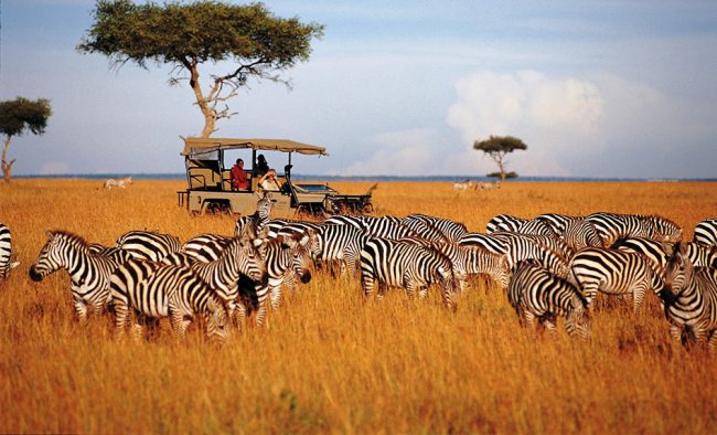 Tanzanian Safari Tanzanian Safari