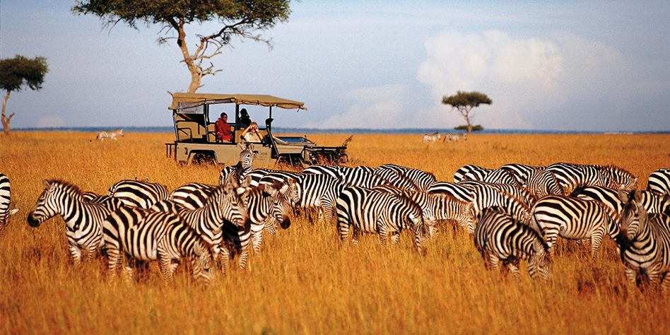 Tanzanian Safari Tanzanian Safari