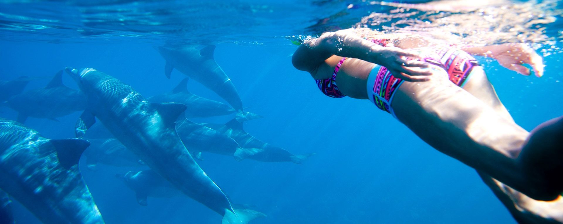 swim with dolphins in zanzibar