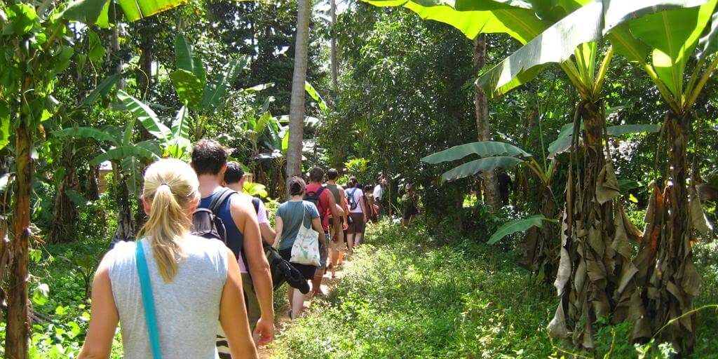 Top Family-Friendly Activities in Zanzibar