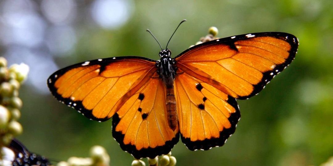 p7 Nature Attractions in Zanzibar Island