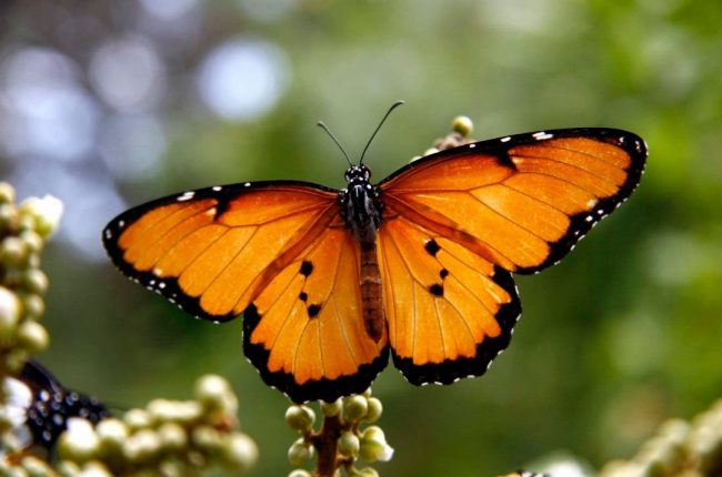 p7 Nature Attractions in Zanzibar Island